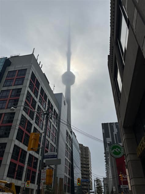 如何正确理解与操作成人扒开伸进c:一个常见场景的实用指南